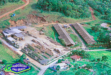 Panorâmica da Madeireira Pau Brasil